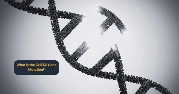 What is the CHEK2 Gene Mutation?