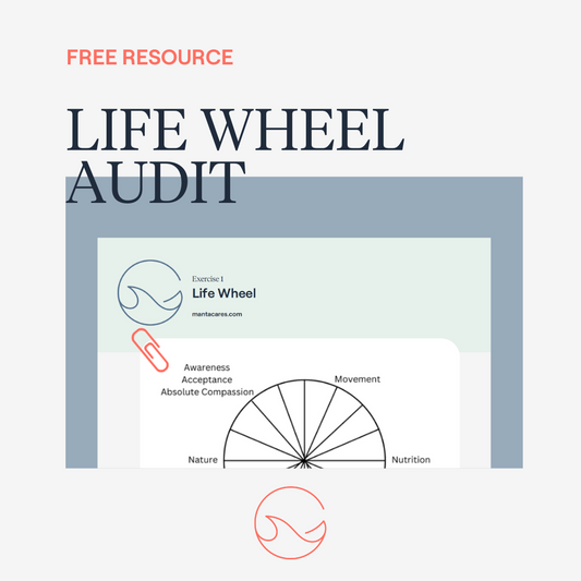 Life Wheel Audit: A simple exercise to re-center, re-prioritize and re-start new habits